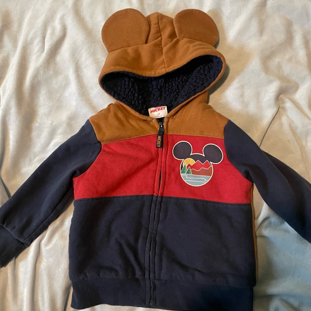 Disney Kids Hoodie - Red, Blue, Brown- Sherpa Lined